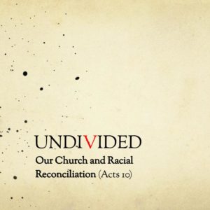 Undivided Part 1: The Image of God